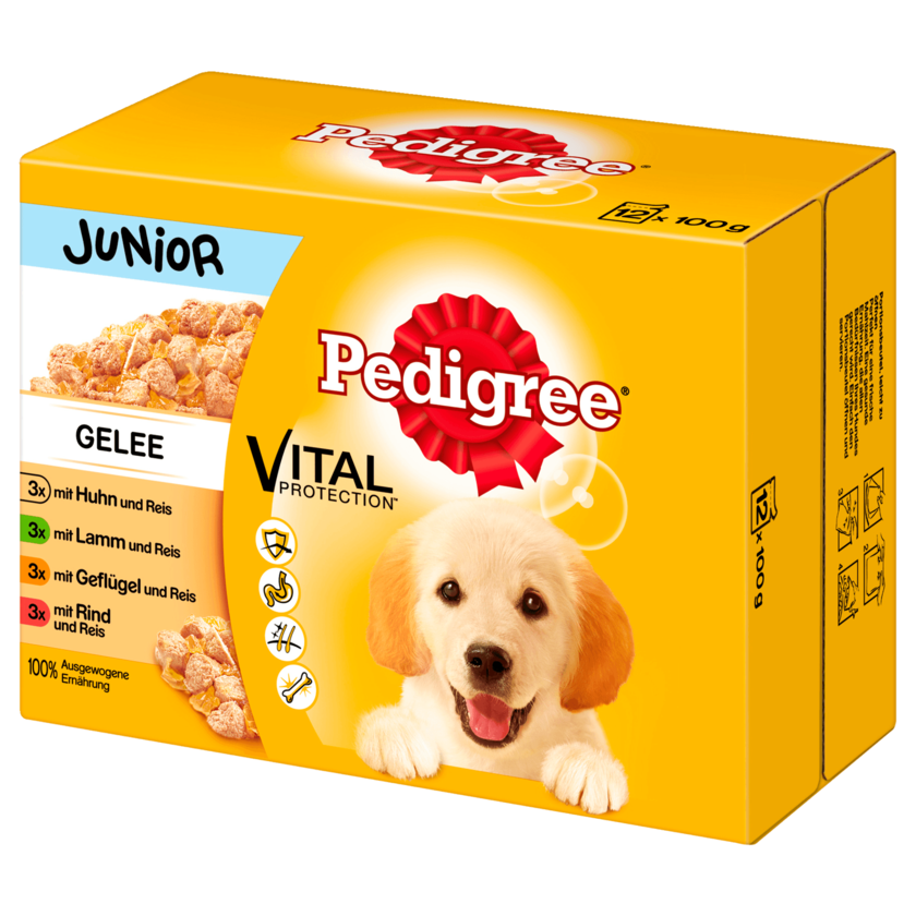 Pedigree Junior in Gelee 12x100g